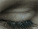 eye_klein.gif