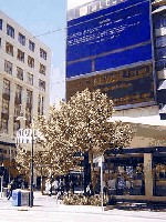 bluescreen.jpg (25.45 KiB) 1057 mal betrachtet Ohne Kommentar :rofl: