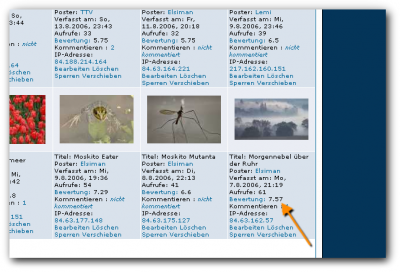der eigentliche 3. Platz