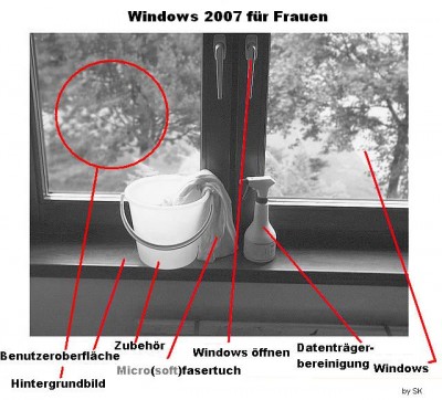 windowsfraueniq9.jpg